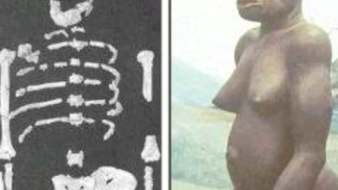 Unul dintre primii hominizi a fost descoperit în Etiopia