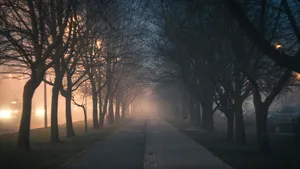 ALERTĂ METEO: Cod GALBEN în Bucureşti şi alte 25 de judeţe din ţară