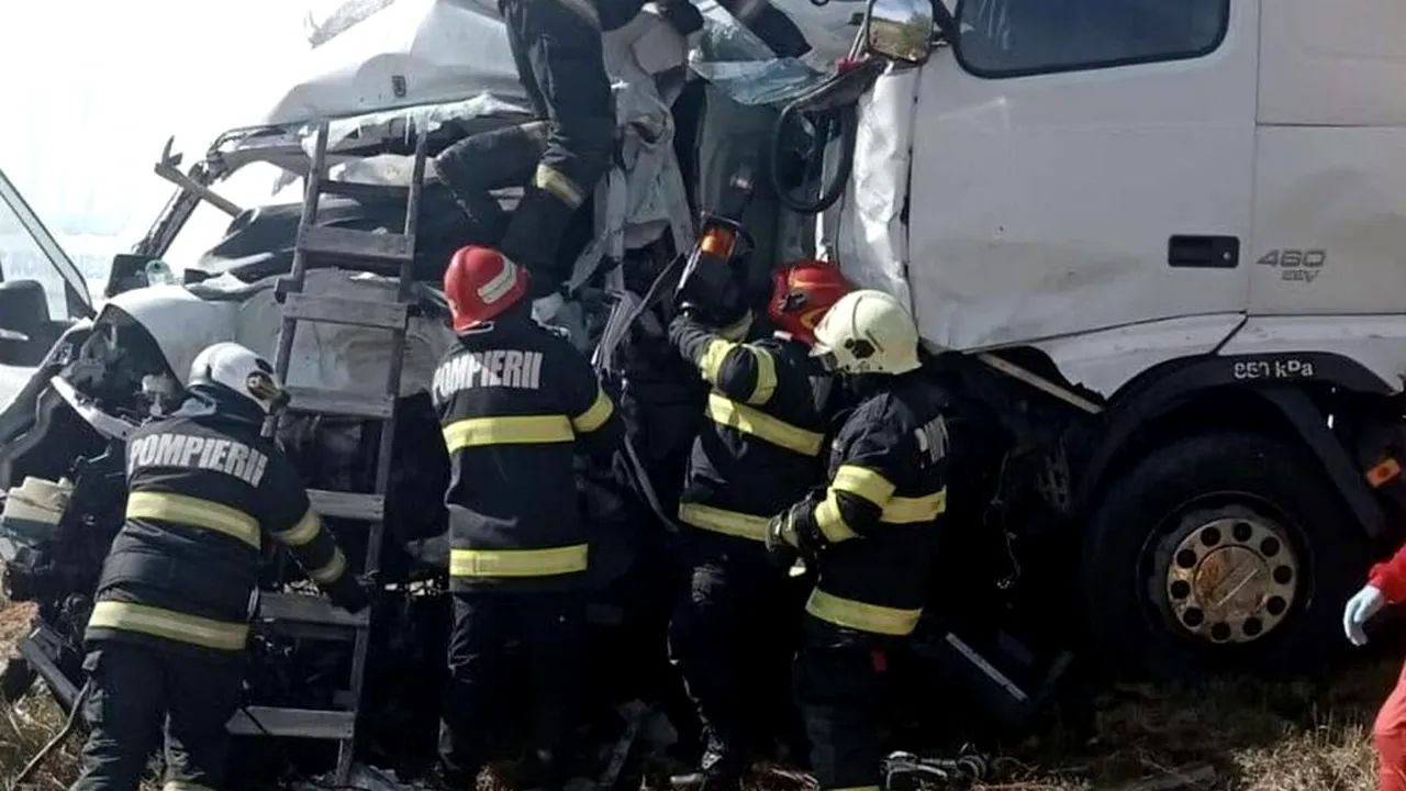 O misiune pentru salvarea animalelor s-a transformat într-o tragedie în România. Două femei britanice și opt câini au murit