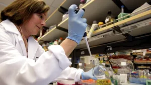 Descoperire medicală. Transplantul de celule stem crește semnificativ rata de supraviețuire a pacienților cu scleroză