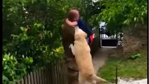 Despărţiţi de războiul lui Putin. Reunire emoţionantă dintre un tată, un copil şi câinele familiei VIDEO
