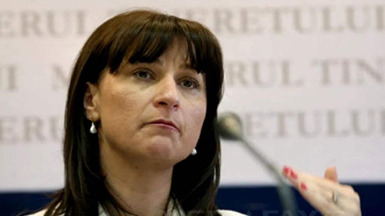 Plăcintă: Ar trebui un minister al investiţiilor străine şi un minister al fondurilor europene