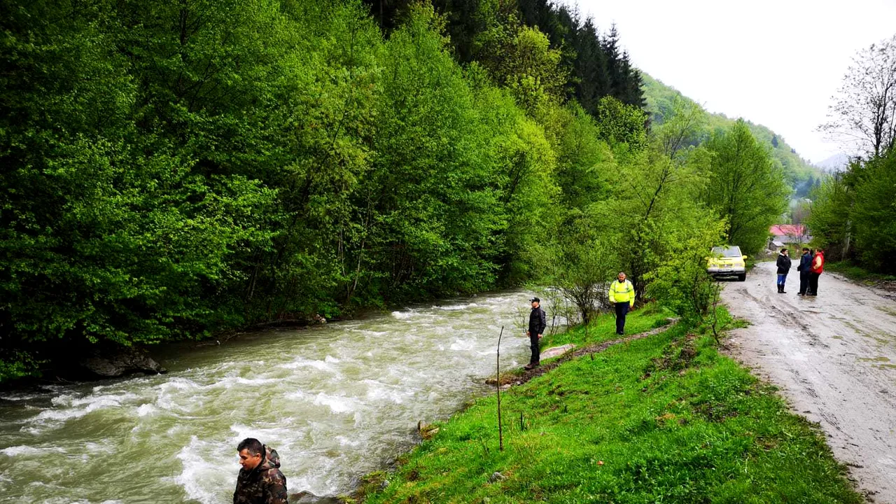 Fetiţă de 6 ani dispărută de acasă, căutată cu un câine de urmă | FOTO