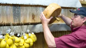 Statul italian, acuzat de concurenţă neloială pentru că ar produce brânzeturi în România