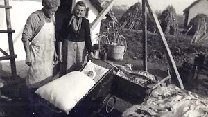 ISTORIA FĂRĂ PERDEA, Marius Oprea / România, singura ţară din ”lagărul socialist” care se face vinovată de deportarea propriilor cetăţeni. Întoarcerea acasă a ”bărăgăniştilor” 