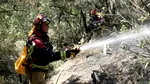 Incendiile de vegetație lasă în urmă un pericol invizibil. Ce au descoperit cercetătorii despre fumul toxic
