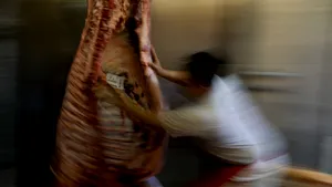 Inflaţia şi recesiunea îi obligă pe argentinieni să mănânce mai puţină carne de vită
