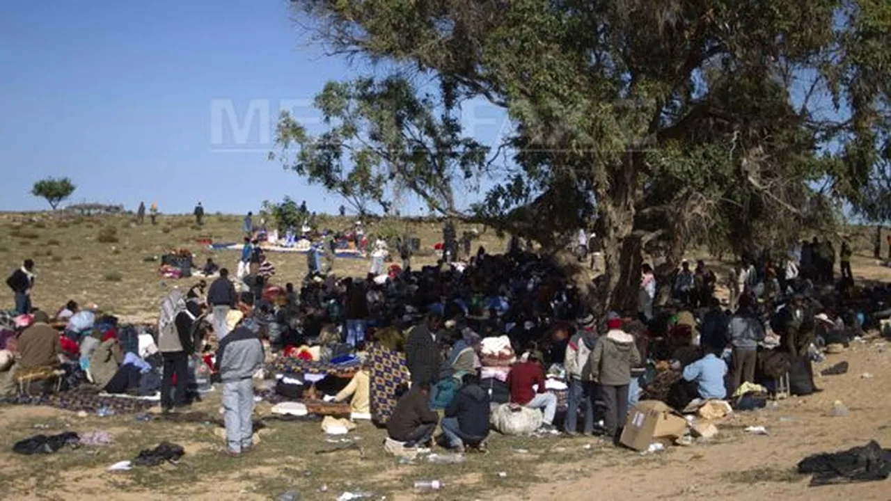 ONU şi organizaţii umanitare colectează fonduri pentru persoanele din Libia