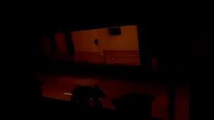 Oamenii din Alba Iulia, terorizaţi de un urs: Animalul a ucis un câine şi un porc  | VIDEO