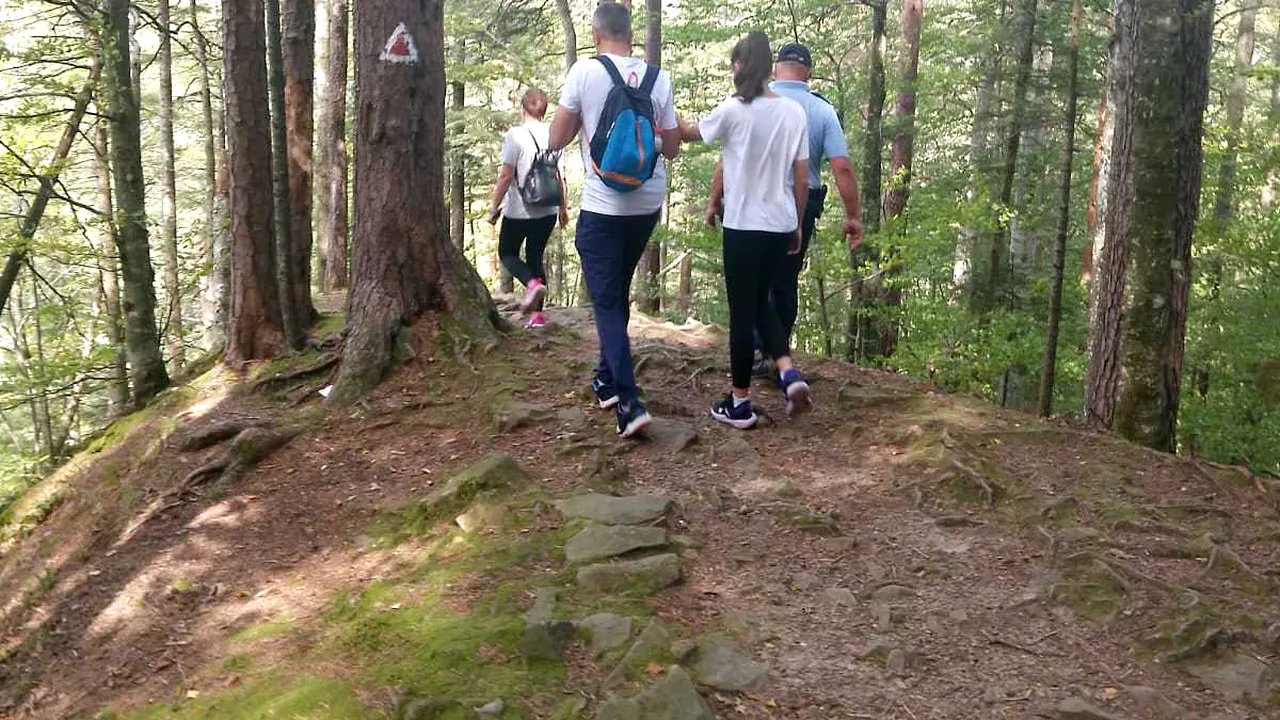 Slănic Moldova. O familie care s-a întâlnit cu trei urşi a fost evacuată de pe munte de jandarmi