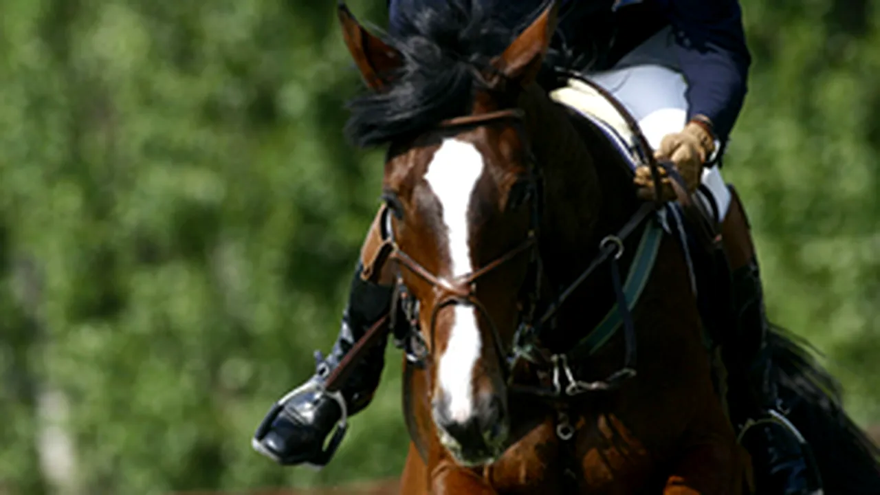 Horse Riding Events Held In Bucharest’s Crangasi Park