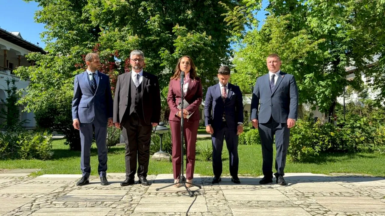 Anamaria Gavrilă, după consultări: Vom susține orice formulă pro-occidentală