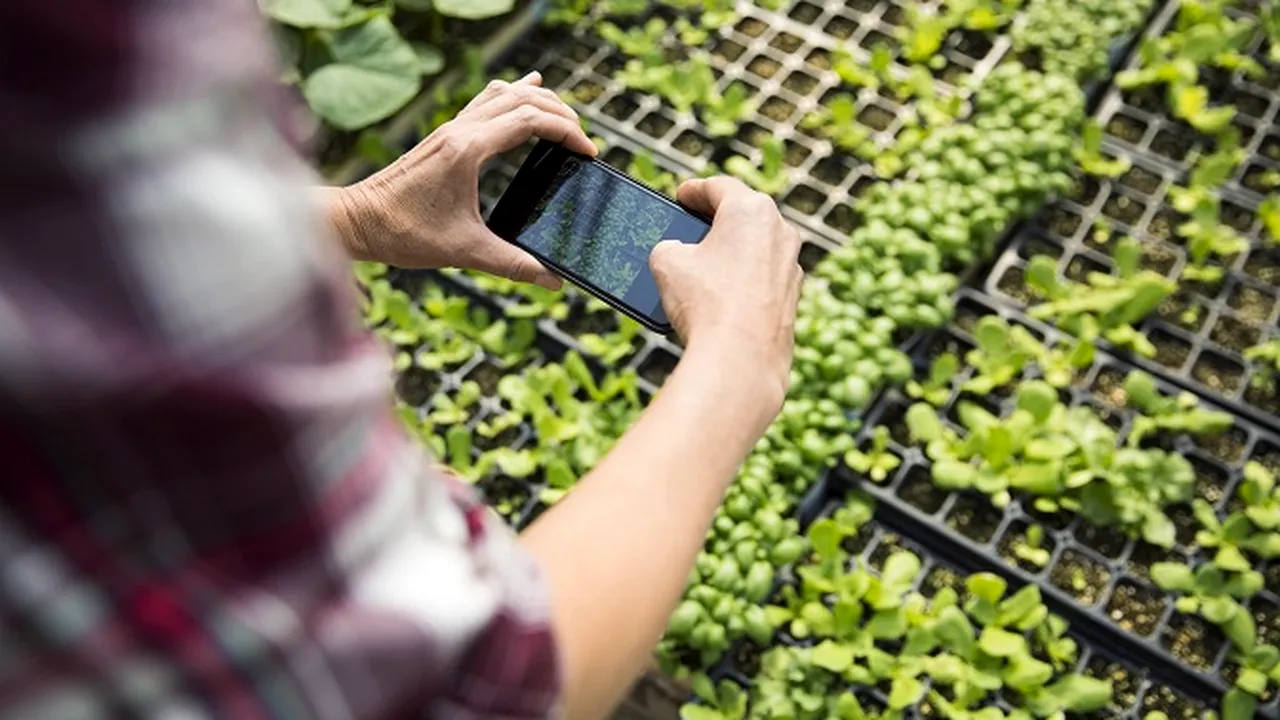 Motivarea tinerilor în agricultură prin soluţii digitale