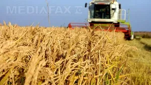 Fermierii vor putea accesa credite în lei la dobânda medie pe piaţa interbancară plus cel mult 4,5%