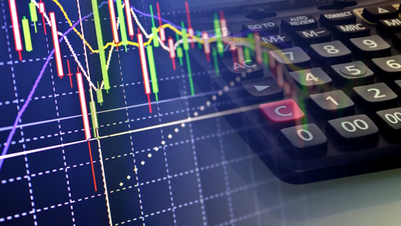 Produsul Intern Brut (PIB) al României a crescut în 2024 cu doar 0,8%