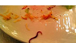 Kremlinul ordonă o inspecţie în bucătăria sa după ce un guvernator ar fi găsit o râmă în salată