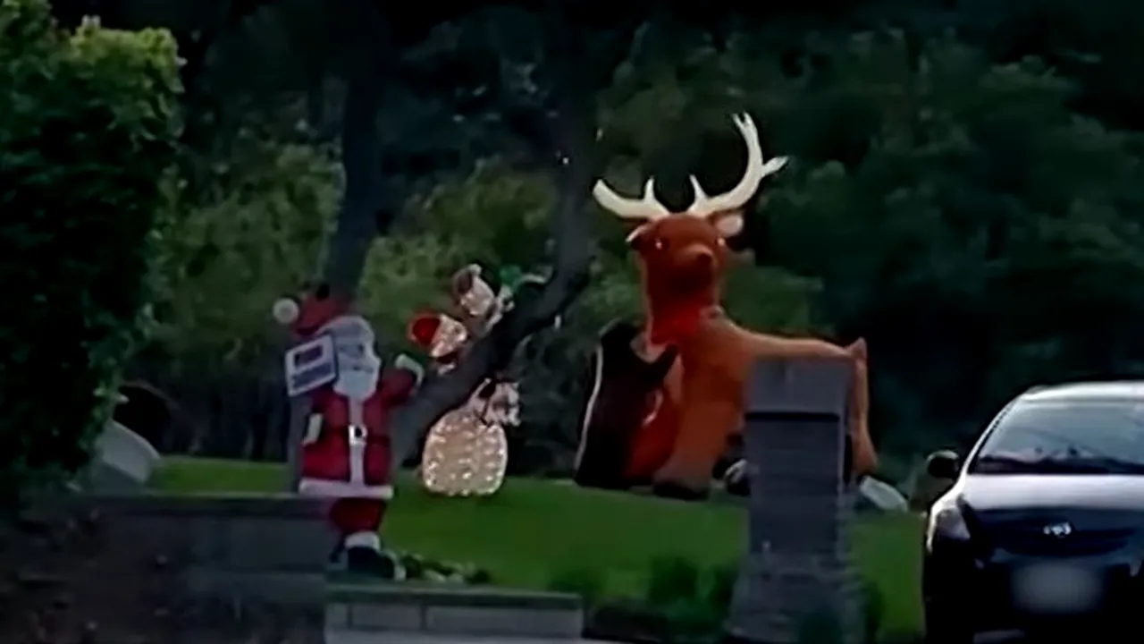 Grinch de Sărbători. Un pui de urs atacă un ren gonflabil, într-un video hilar