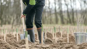 COMENTARIU Lelia Munteanu. Pe Preşedinte n-are cine să-l citească

