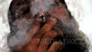 STUDIU: Drojdia de bere, modificată genetic pentru fabricarea de tratamente opioide 