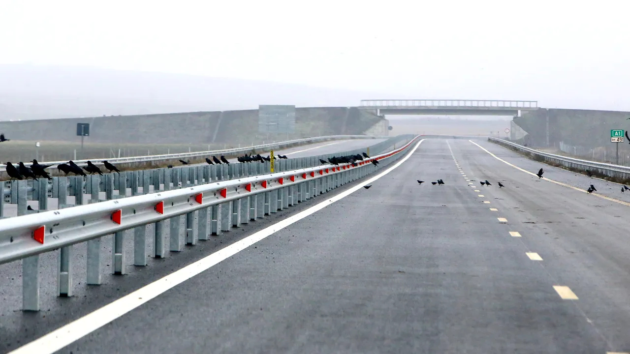 Terasamentul autostrăzii Lugoj - Deva s-a prăbuşit pe o lungime de 70 de metri, în zona localităţii Holdea / Reacţia CNAIR 