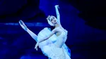 „Lacul lebedelor”, povestea eternei lupte dintre ego și alter ego pe scena Operei Naționale București