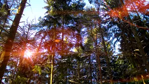 Temperaturi cu mult peste cele obişnuite în această perioadă din an / Prognoza meteo pentru marţi şi miercuri