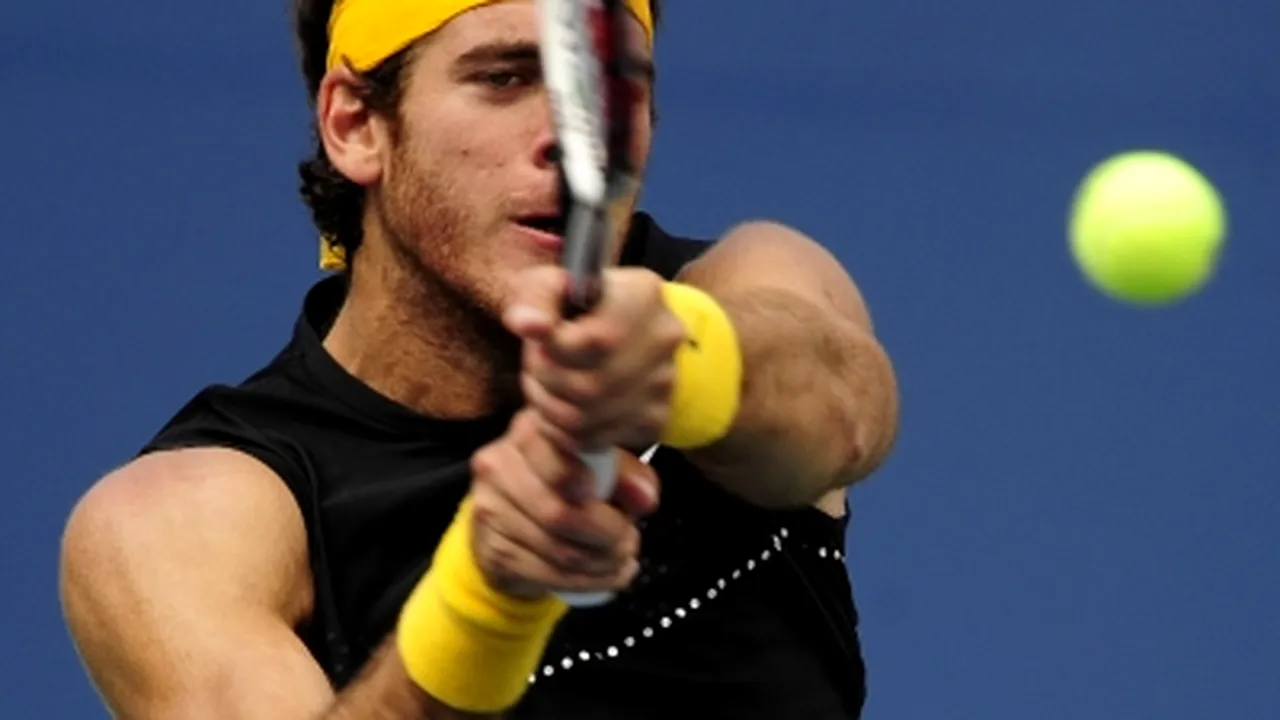 Juan Martin Del Potro s-a calificat în finală la US Open