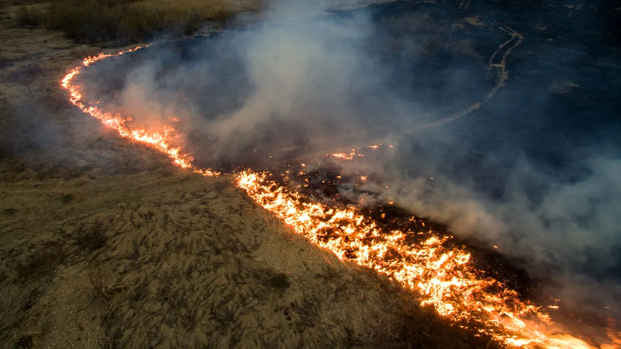 INCENDIILE din Siberia sunt vizibile din spaţiu: Suprafaţa afectată este de milioane de hectare | FOTO, VIDEO