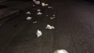 Păţania unor tineri care au jefuit un magazin cu marijuana. Drogurile au căzut din maşină, lăsând o dâră 