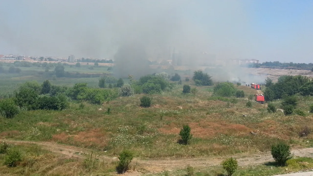 Un alt incendiu a izbucnit în Delta Văcăreşti / Incendiul a fost stins- FOTO/VIDEO