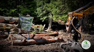 Protest în Parcul Naţional Bucegi, de Ziua Europeană a Parcurilor. Agent Green reclamă tăieri ilegale de pădure