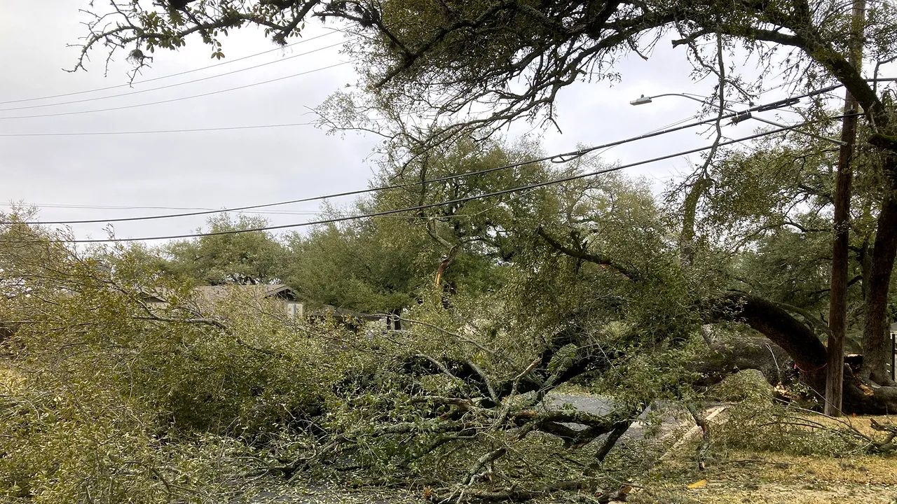 Tornadele au făcut prăpăd în Texas. Sute de mii de oameni nu au energie electrică