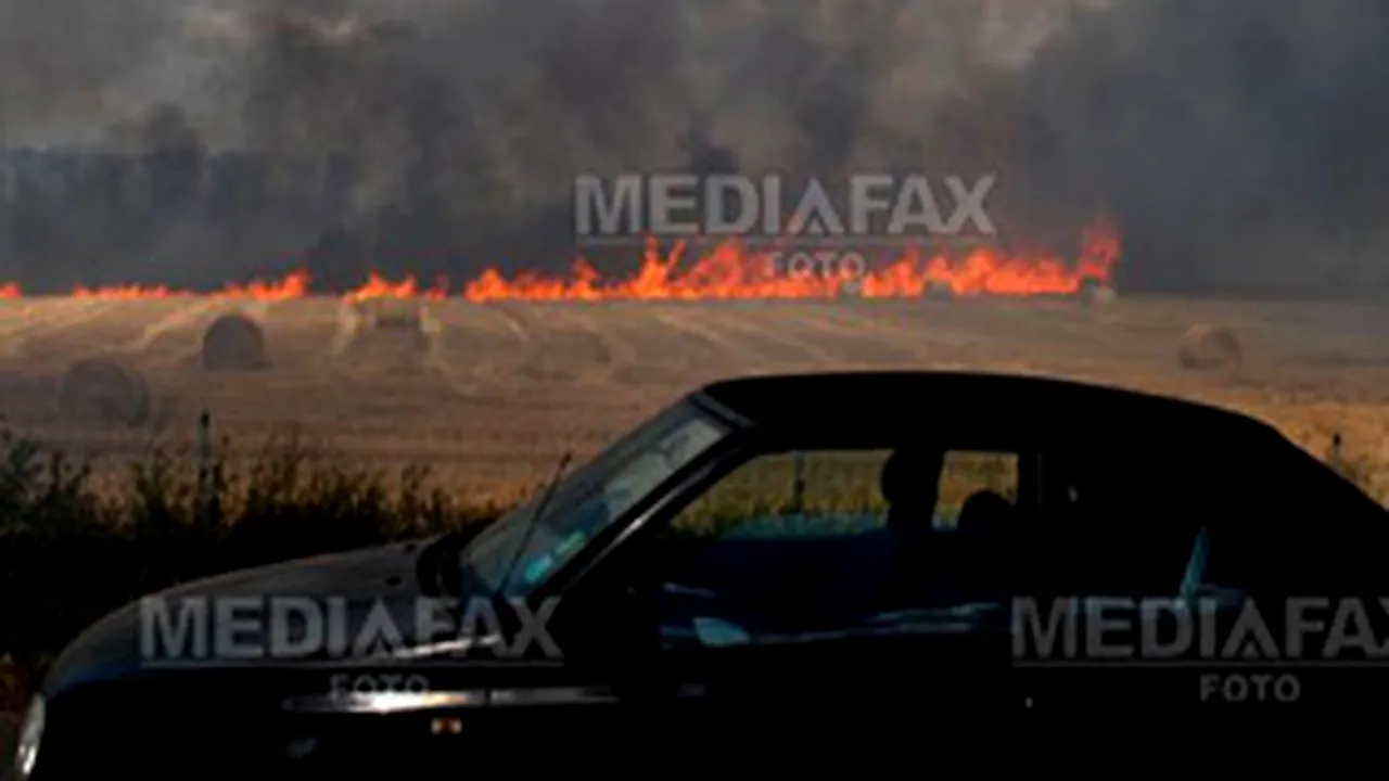 Un nou incendiu de vegetaţie lângă Autostrada Soarelui