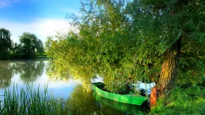 Delta Dunării – Între vis, ape și cântecul păsărilor