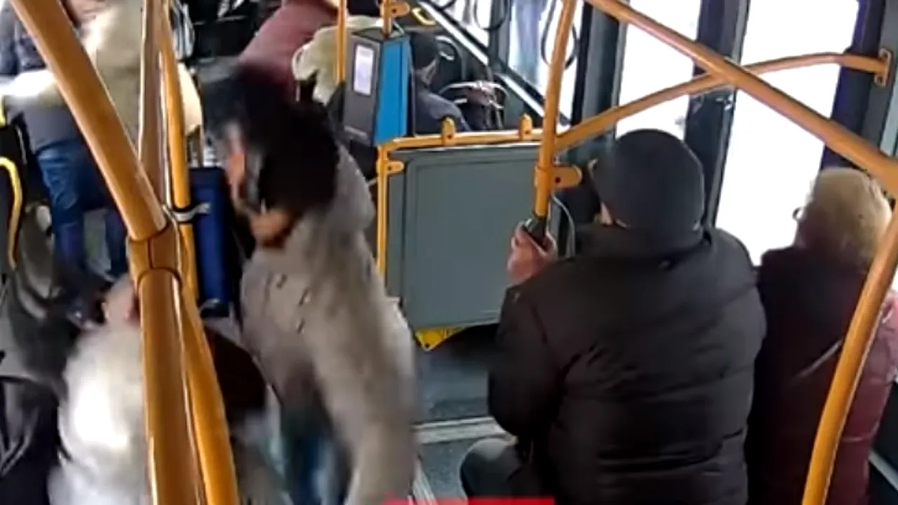 VIDEO | Un pieton a fost la un pas să provoace un accident grav în Cluj. Momentul în care şoferul autobuzului frânează brusc 