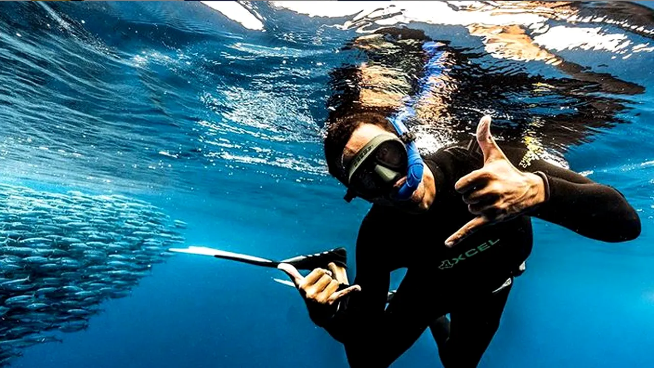 Scafandrul Alexander Schmidt îţi arată cum înoată cu sute de pisici de mare
