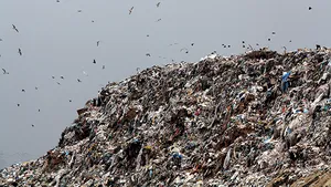 Licitaţie pentru platforme de gunoi îngropate, la Braşov