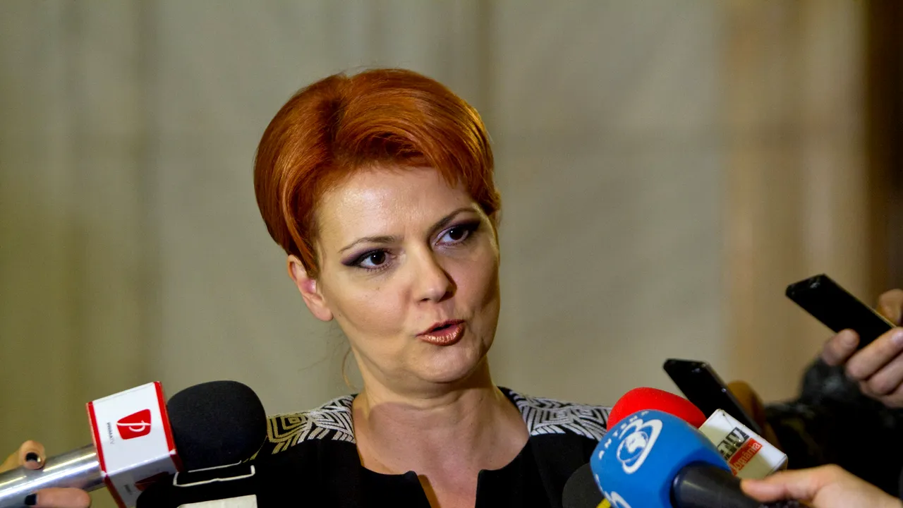 Munkaügyi miniszter: voltak olyan helyzetek is, hogy egy tanácsadó 12 000 lejt keresett