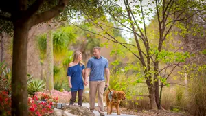 Ghidul unui profesor pentru o viaţă fără stres: ”Încearcă să atingi ”Excelenţa”, nu perfecţiunea” 