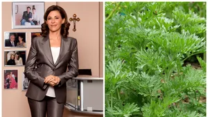 Dr. Adina Alberts, despre „leacul minune” pentru coronavirus promovat în Madagascar şi respins de OMS. Efecte benefice ale ingredientului de bază