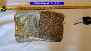 Constănţeni prinşi în flagrant când ridicau un colet cu droguri, expediat din Portugalia. Ce au găsit poliţiştii asupra lor