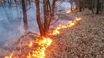 Timiș. Pompierii au intervenit, în acest weekend, în 190 de situații de urgență. 7 terenuri agricole, dar și 6 locuințe au luat foc