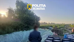 Opt tone de varză murată, găsite depozitate în gropi cu folie, în Dâmbovița, distruse