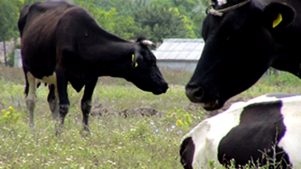 Programul de dezvoltare rurală, lansat oficial