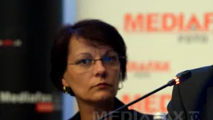 CONFERINŢA MEDIAFAX: ANRM intenţionează să scoată la licitaţie 30-35 perimetre de hidrocarburi