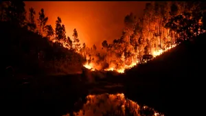 IMAGINILE ZILEI Cel puţin 62 de persoane au fost ucise în urma incendiilor de pădure care au avut loc în centrul Portugaliei
