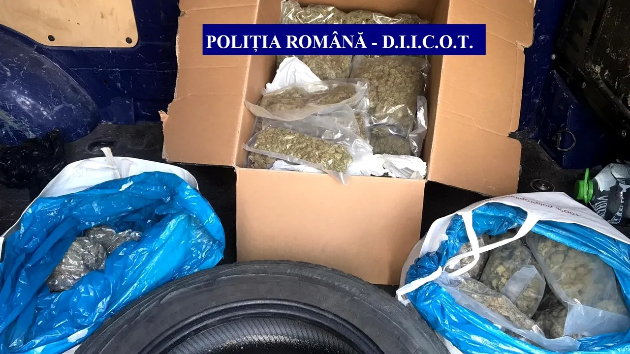 Cluj: Percheziţii la persoane bănuite de trafic de droguri. Şapte suspecţi au fost reţinuţi