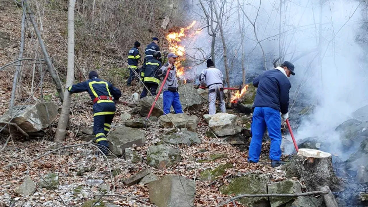 GALERIE FOTO: Zeci de pompieri şi voluntari se luptă, de trei zile, să stingă un incendiu de pădure la Bacău