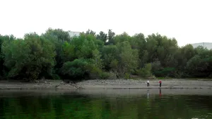 Cazul fetei violate la Dunăre, lângă Turnu Severin. Poliţia spune că a intervenit în 5 minute de la apelul la 112/ Cei trei tineri acuzaţi, arestaţi preventiv