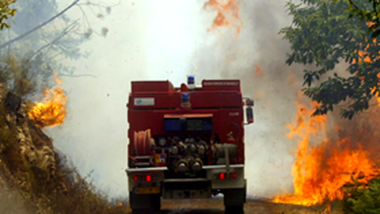 Circa 11.000 de persoane, evacuate de pe Insulele Canare din cauza incendiilor